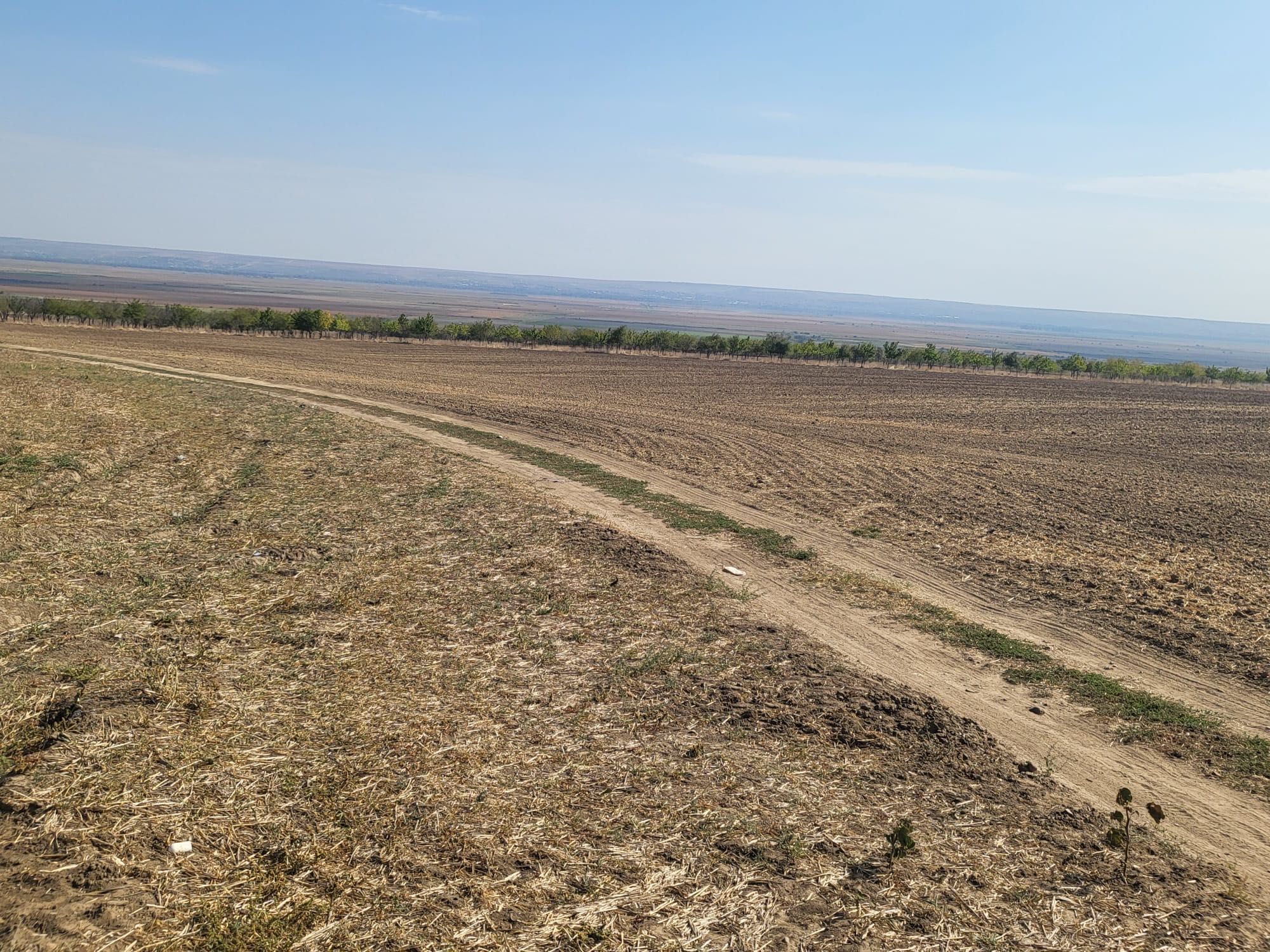 Vand Livadă (visini, cirese pe rod) 4 hectare