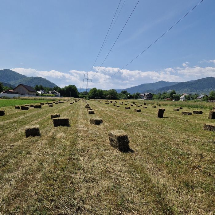 Baloti fân și lucerna