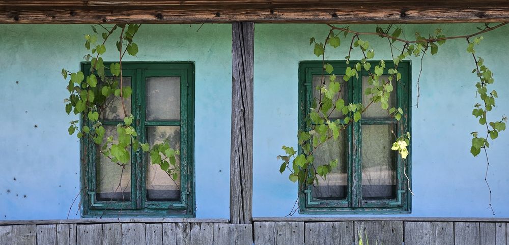 Servicii gospodărești 
Descriere:
Ofe