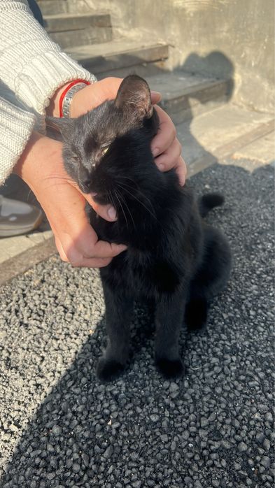 .	Помогите малышу встретить зиму в тепле