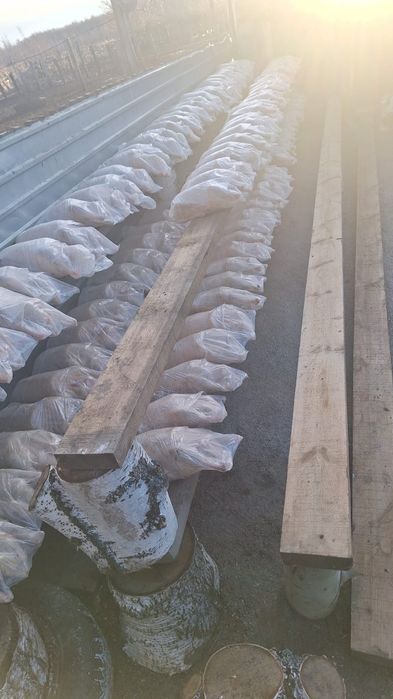 Гуси 2200 килограмм