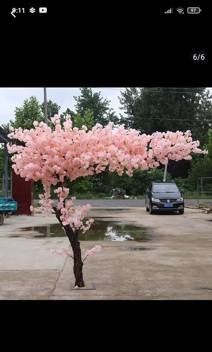 Dikarativni daraxtlar