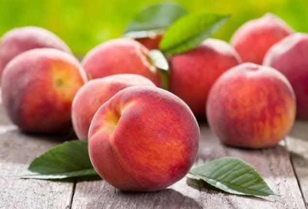 Pomi fructiferi certificati
