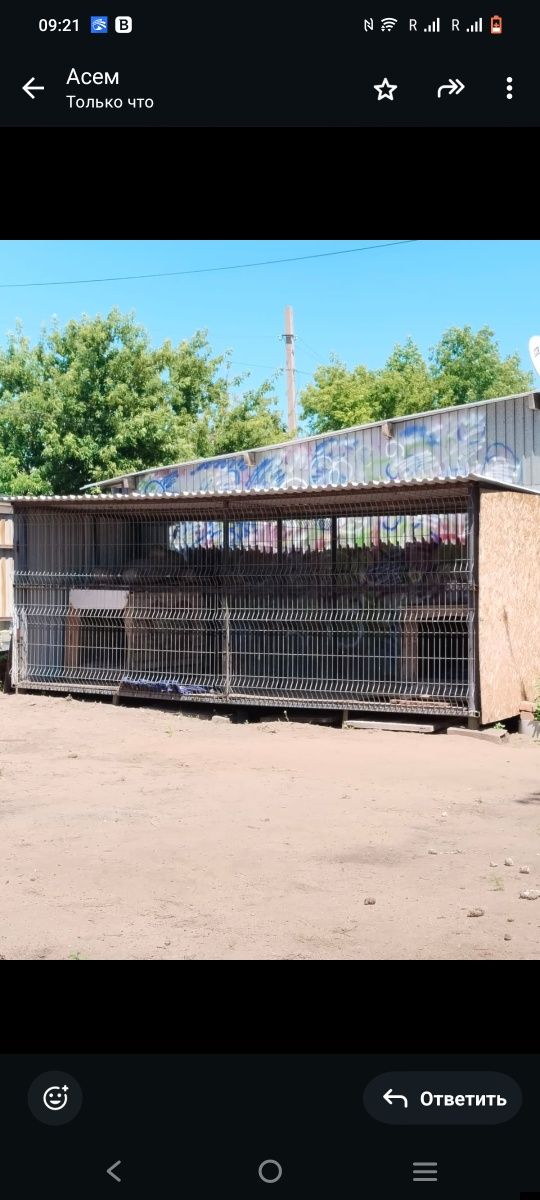 Продам срочно Вальтер на 2 собак