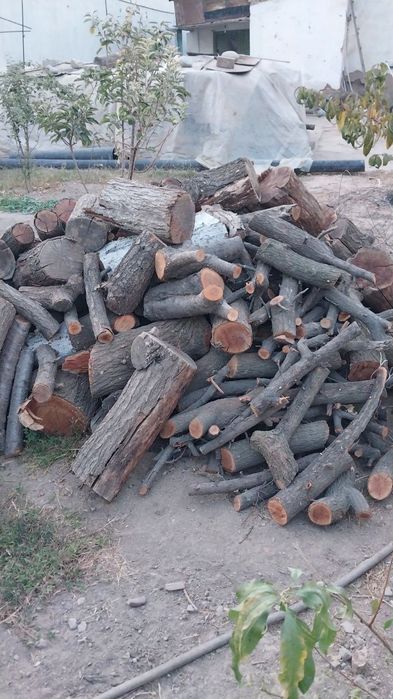 Oʻtin sotiladi! Chirchiqda