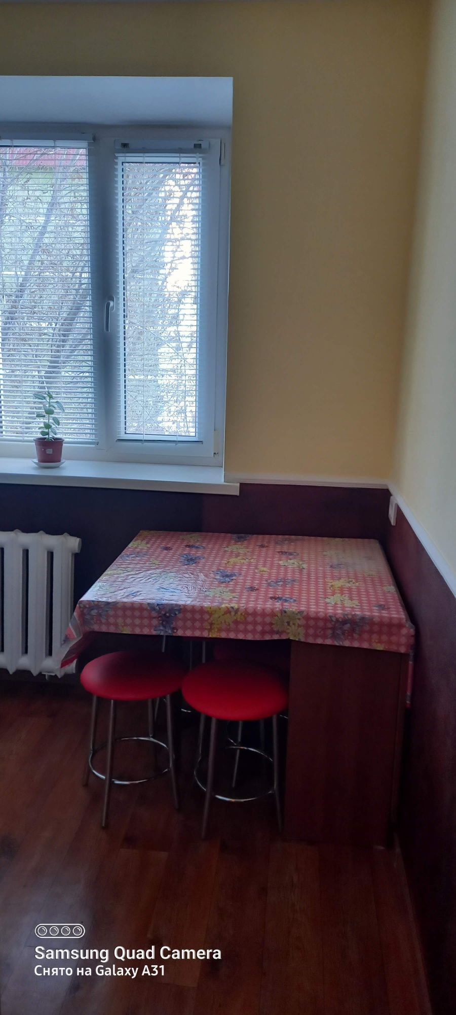 квартира 1 комната