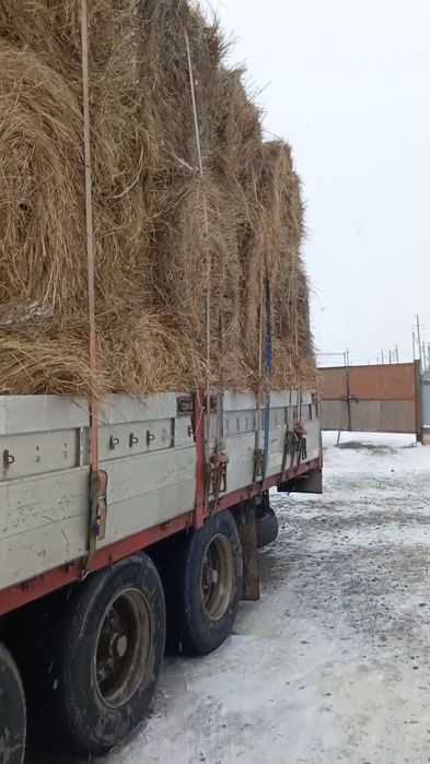 Шөп 2025. Сено разнотравье в рулонах