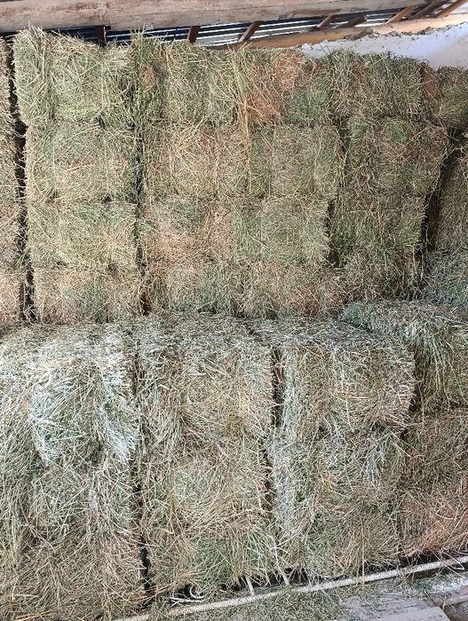 beda sotiladi 3 oroq quruq