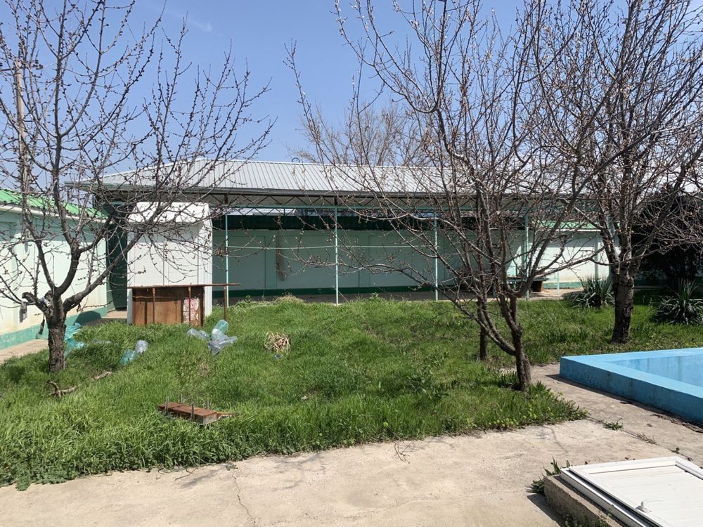Dacha sotiladi xamma sharoitga ega
