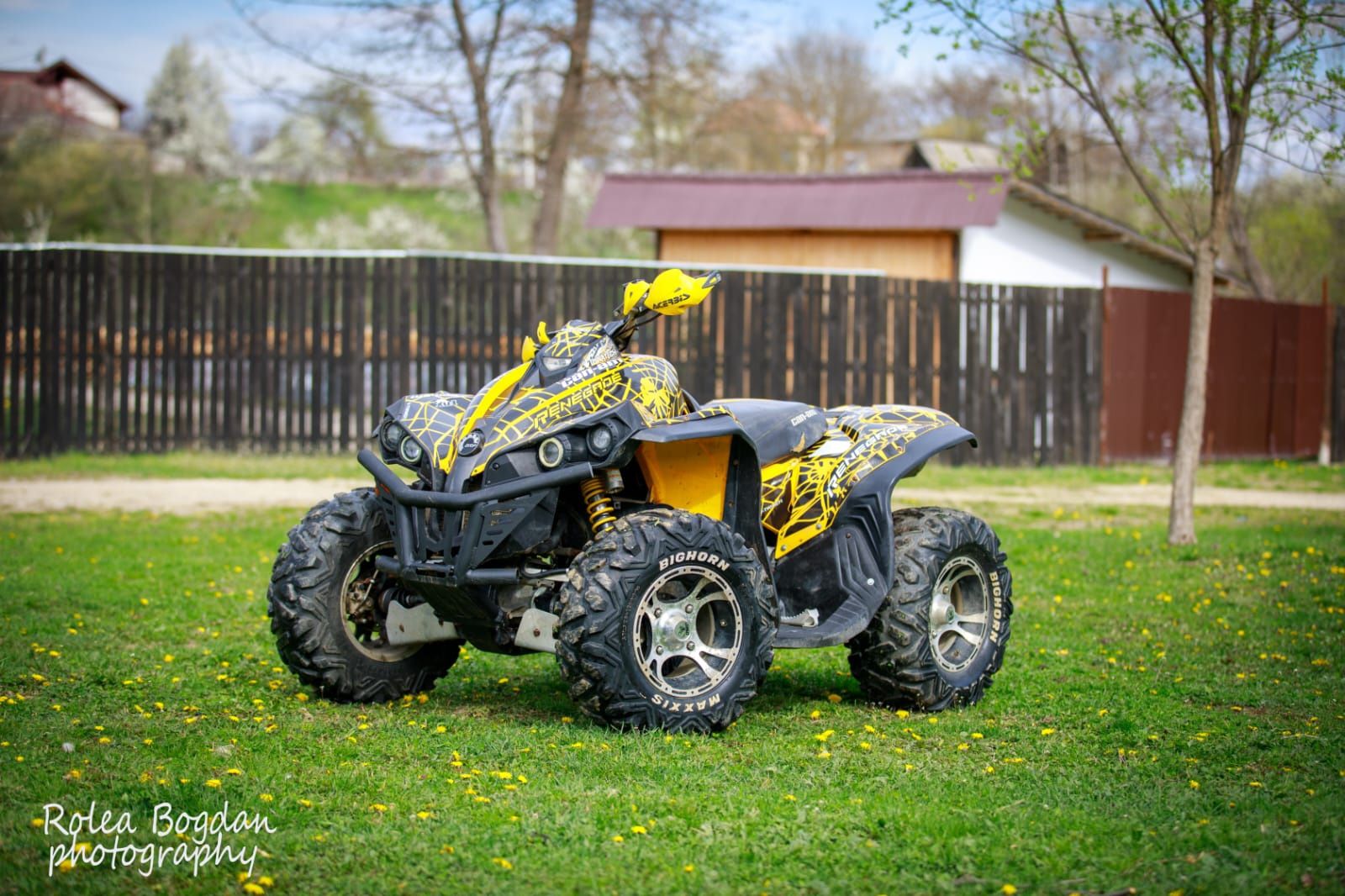 Can Am  800 2008