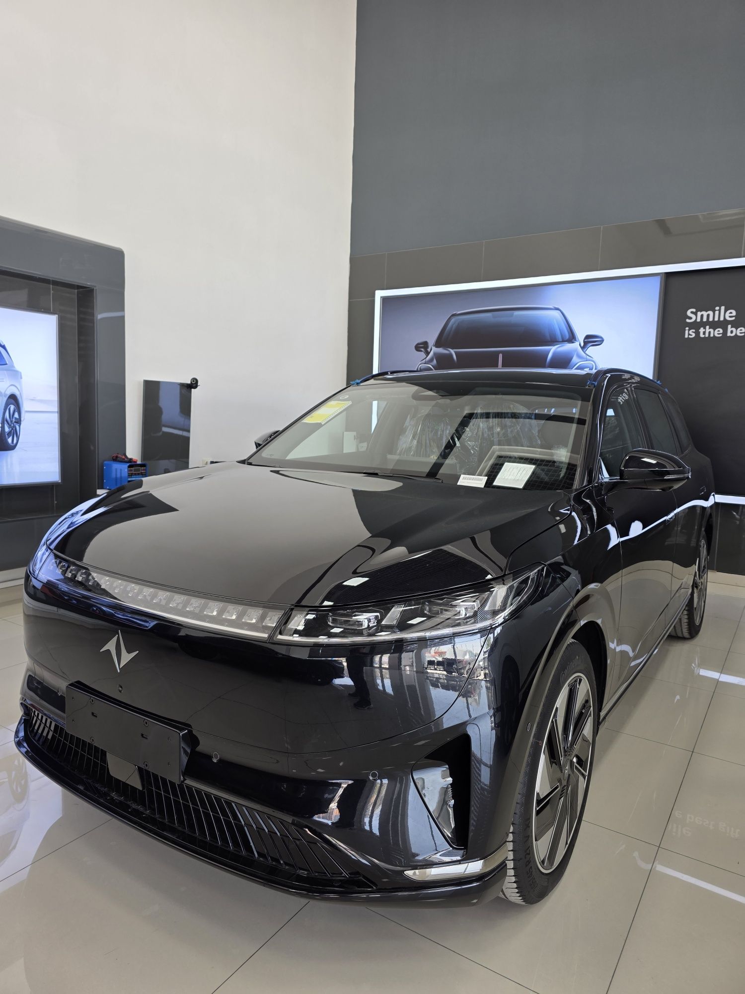 Dongfeng eπ 008 max 210, 2025
