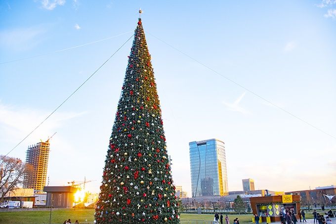 Archa deklaratsiya reklama