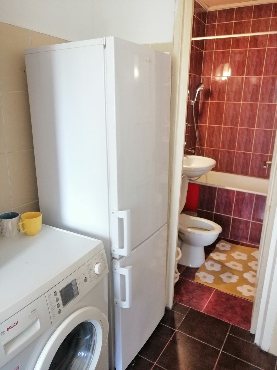Proprietar inchiriez ap 2 cam Alexandru cel bun