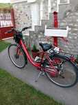 Bicicleta electrica