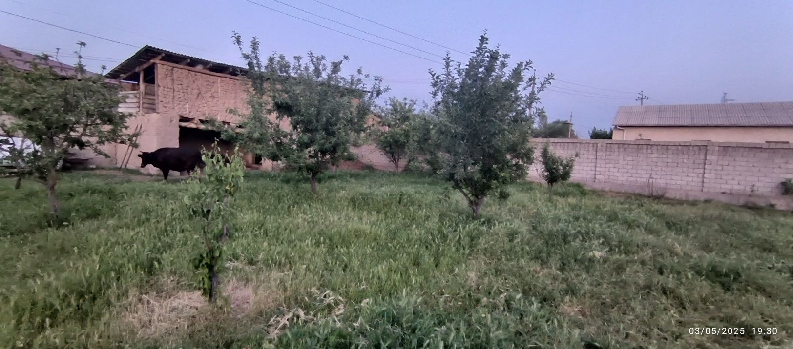 Toshkent shahar yashnabod tumani