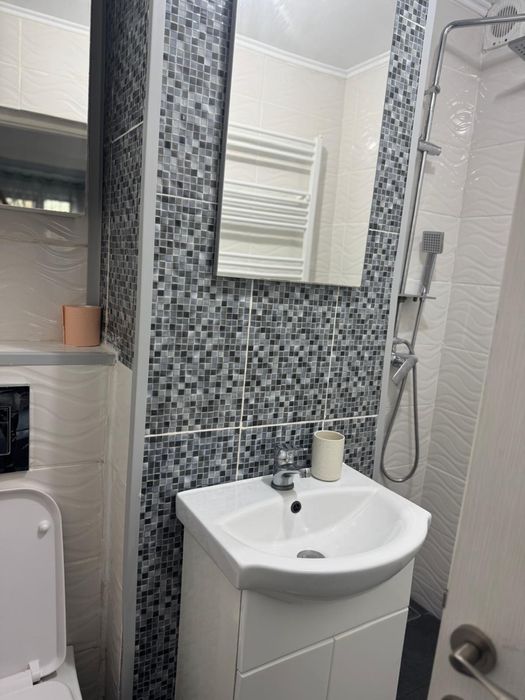 Apartament Aleea Plopilor