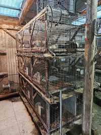 Cușcă iepuri pe trei etaje demontabile