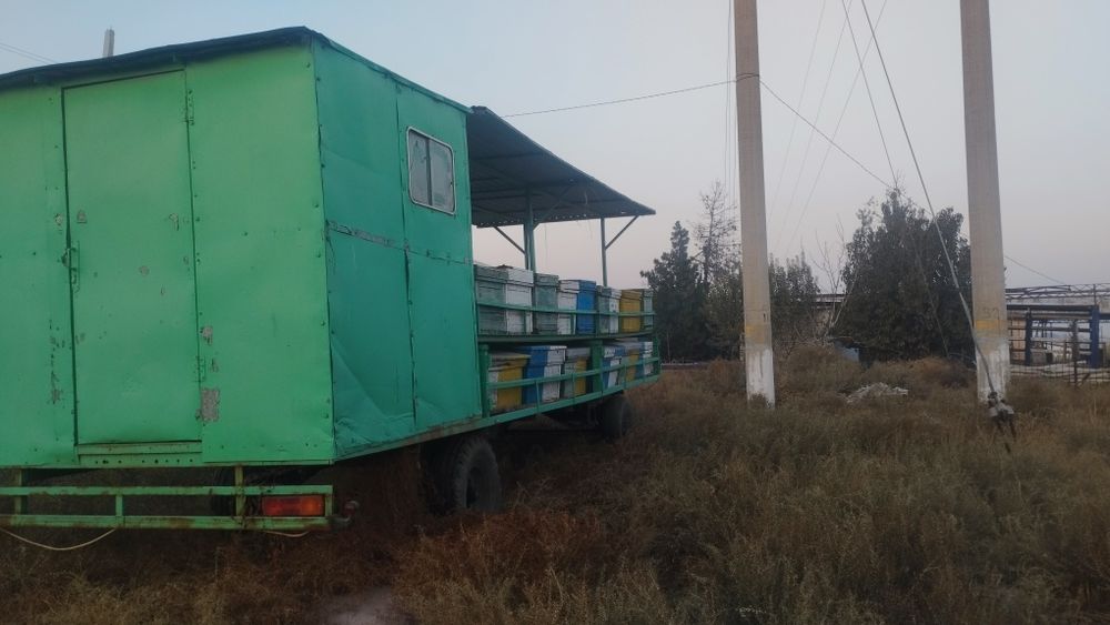 Продам пчело прицеп