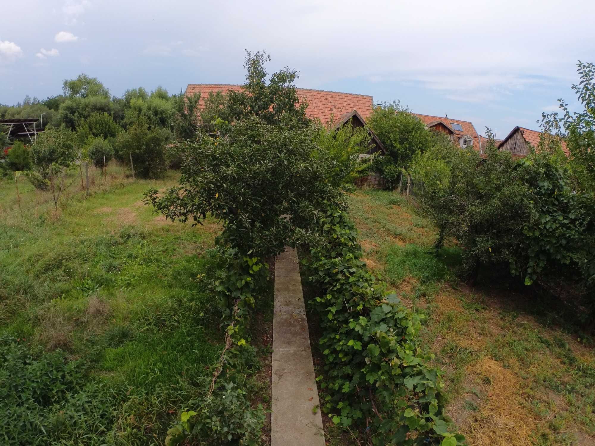 Casa cu teren generos de vânzare in orasul Miercurea Sibiului