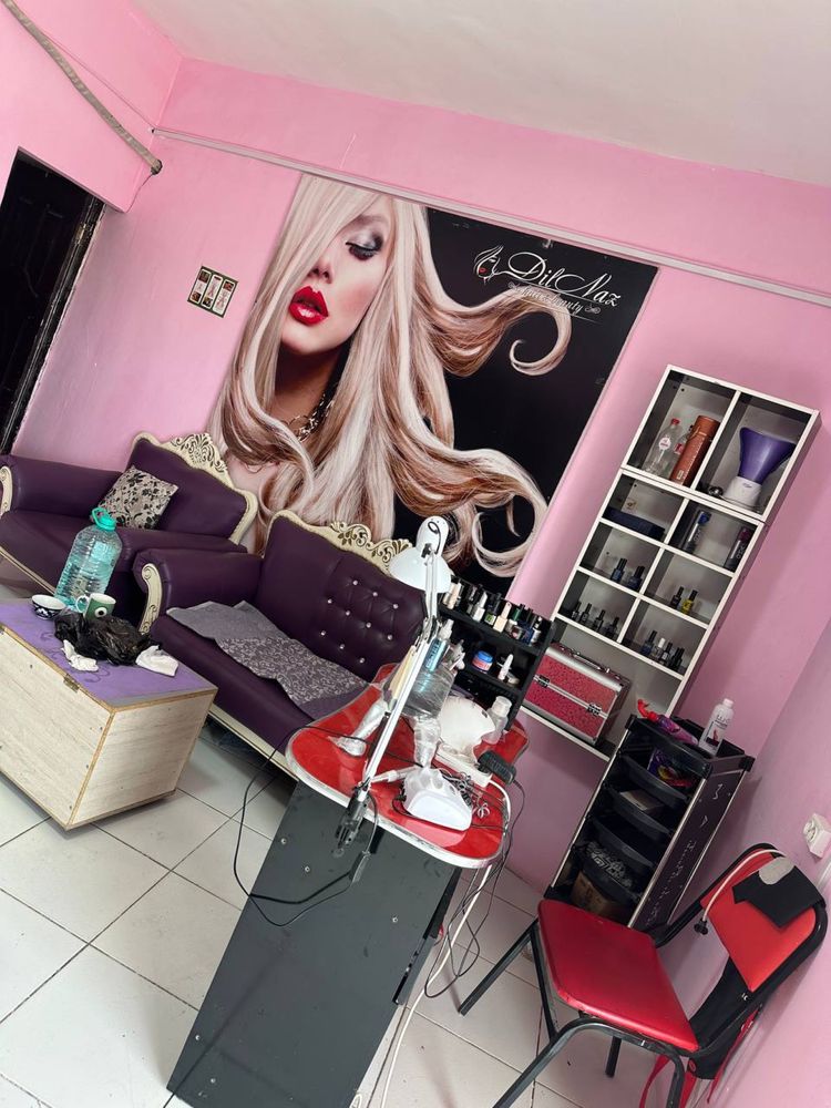 Salon chixozlari