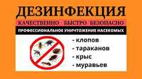 Dezinfeksiya дезинфекция дезинфекция