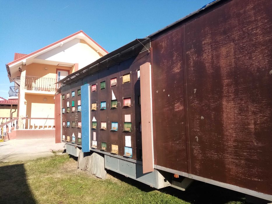 Vând pavilion apicol remorca