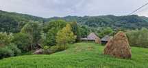 Teren intravilan zona de munte Bradulet, Arges