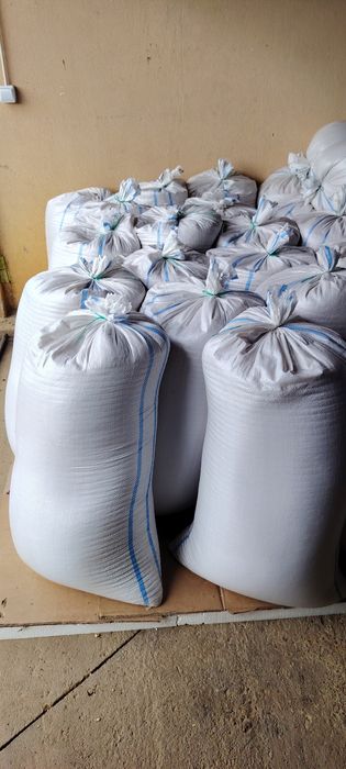 Vând triticale producție Iulie 2025