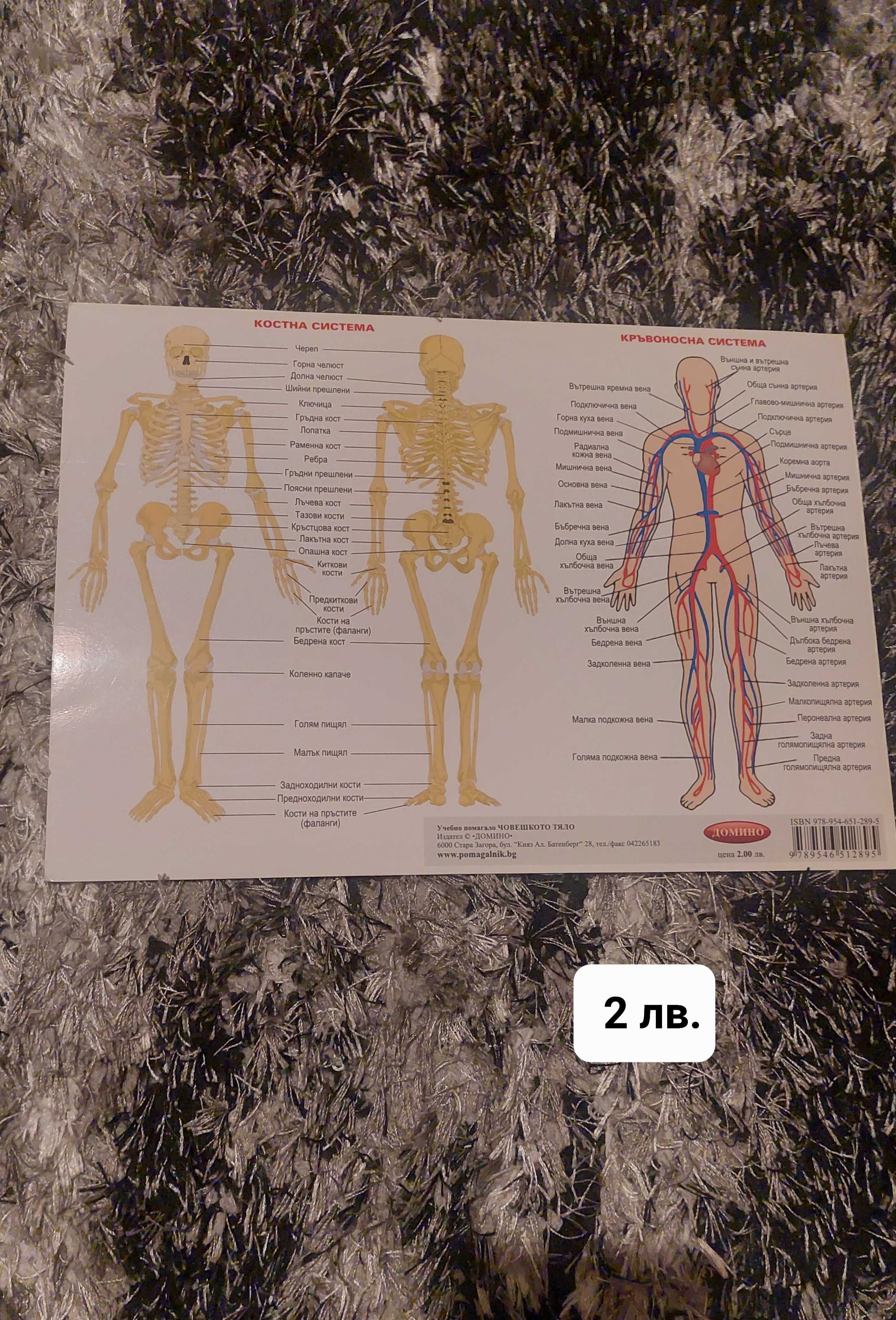Помагалници по различни предмети от 3. до 12. клас