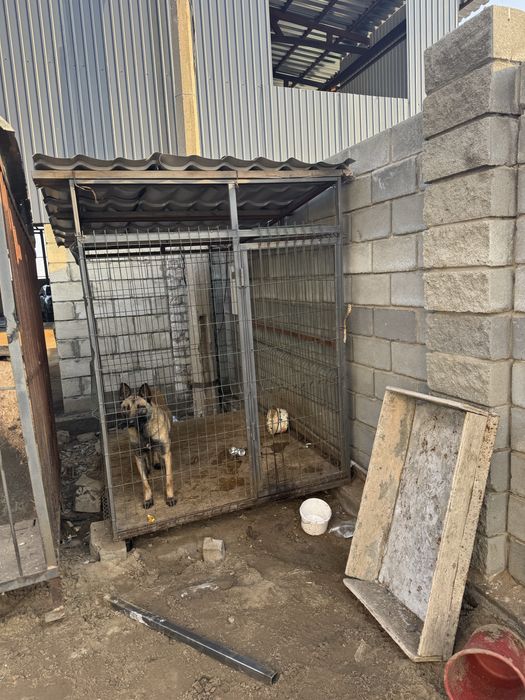 Продам вольер 1.5 *2