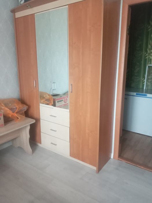 Плательный шкаф и двухспальняя кровать