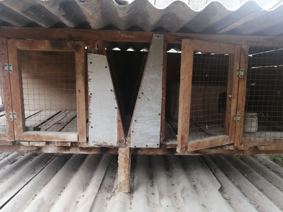 Продаю крольчатники