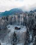 Cabană de vis în inima munților, chiar lângă pârtia de schi din Borșa