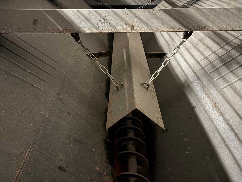 Sărăriță și lamă de zăpadă