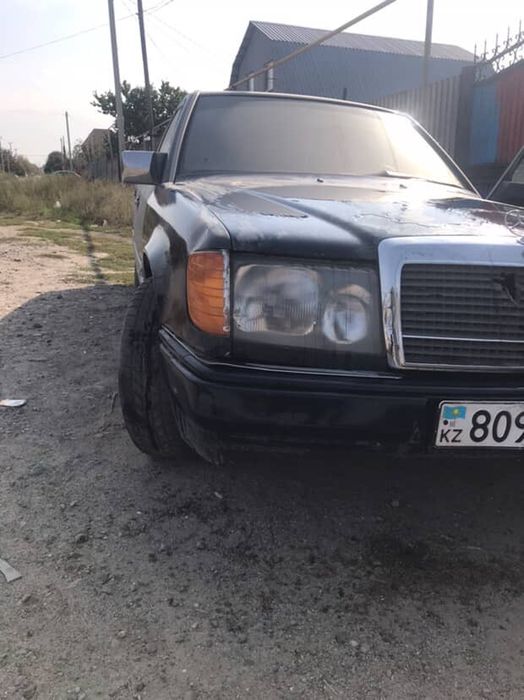 Обмен на быков, баран