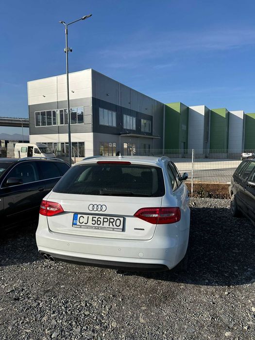 Vand sau skimb  cu duster