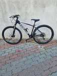 Focus black forest 29"