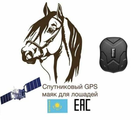 №1 Спутниковый GPS Трекер для Лошадей/Батарейка до 60 дней/Актобе