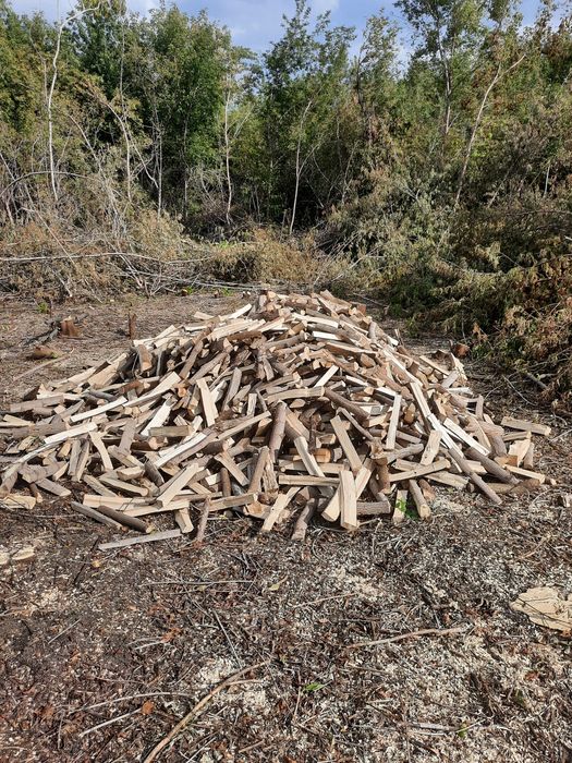 Продам дрова клен.