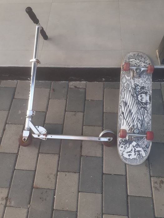 Skateboard si trotineta