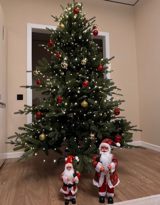 Ёлки с доставкой по низким ценам с подарком