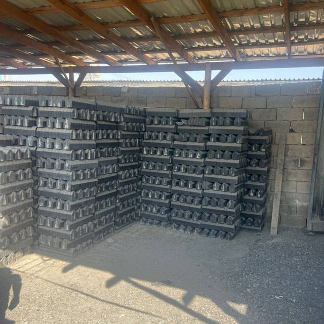 Burchatka Latok Bardiyur Kalodis