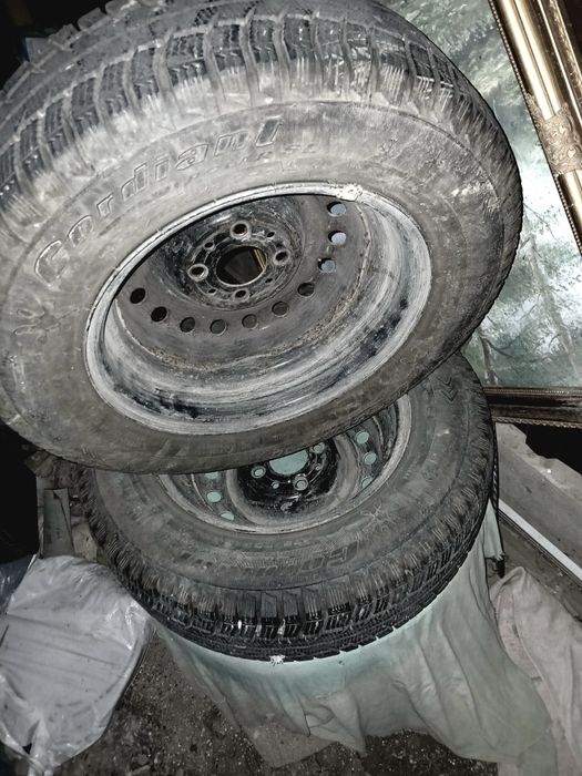 Кыскы конгелек дискасымен