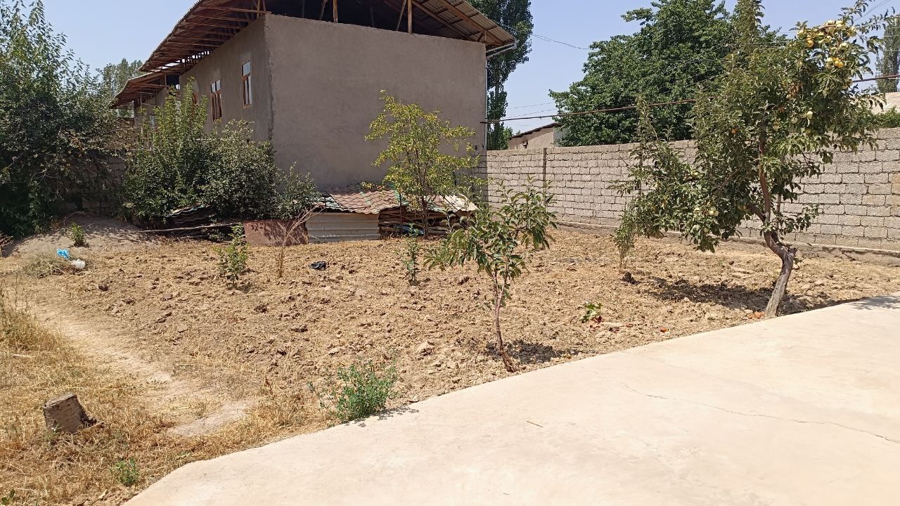 Uchaska soiladi 6 sotx