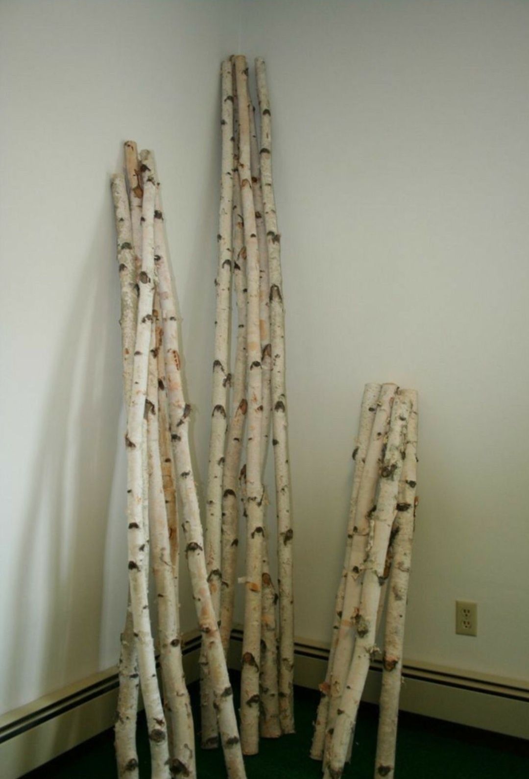 Mesteacan trunchiuri , crengi , rondele pt design sau aranjamente