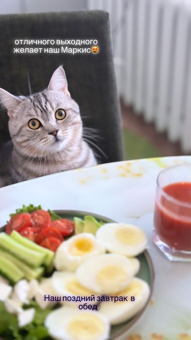 Отдам в добрые руки