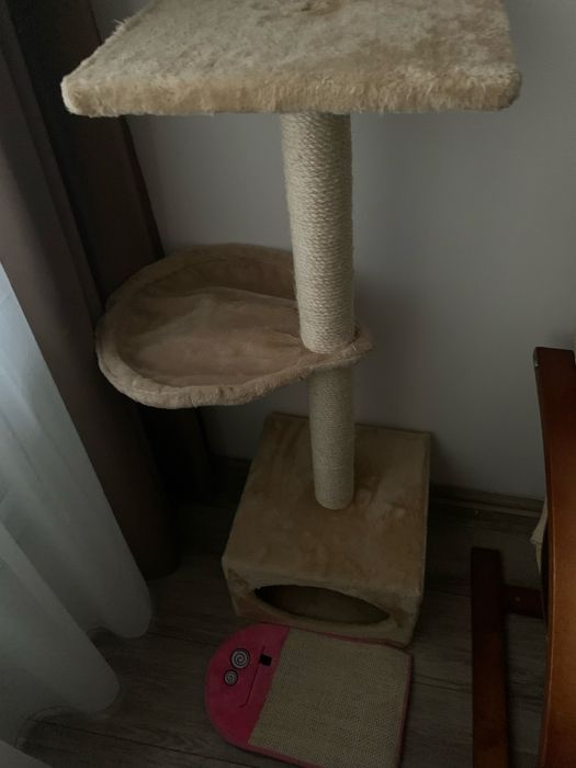 Ansamblu joaca pisici