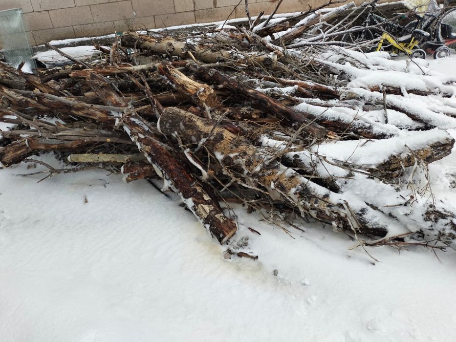 Дрова отын Ильинкада