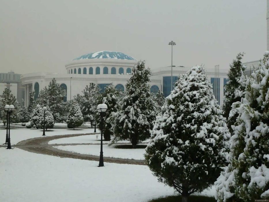 The Palimpsest City: Tashkent's Chronicles in Winter - excursion tour