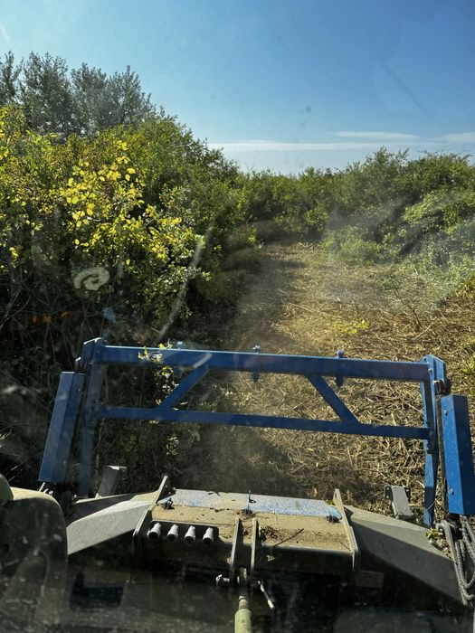 Defrisari si intretinere spati verzi